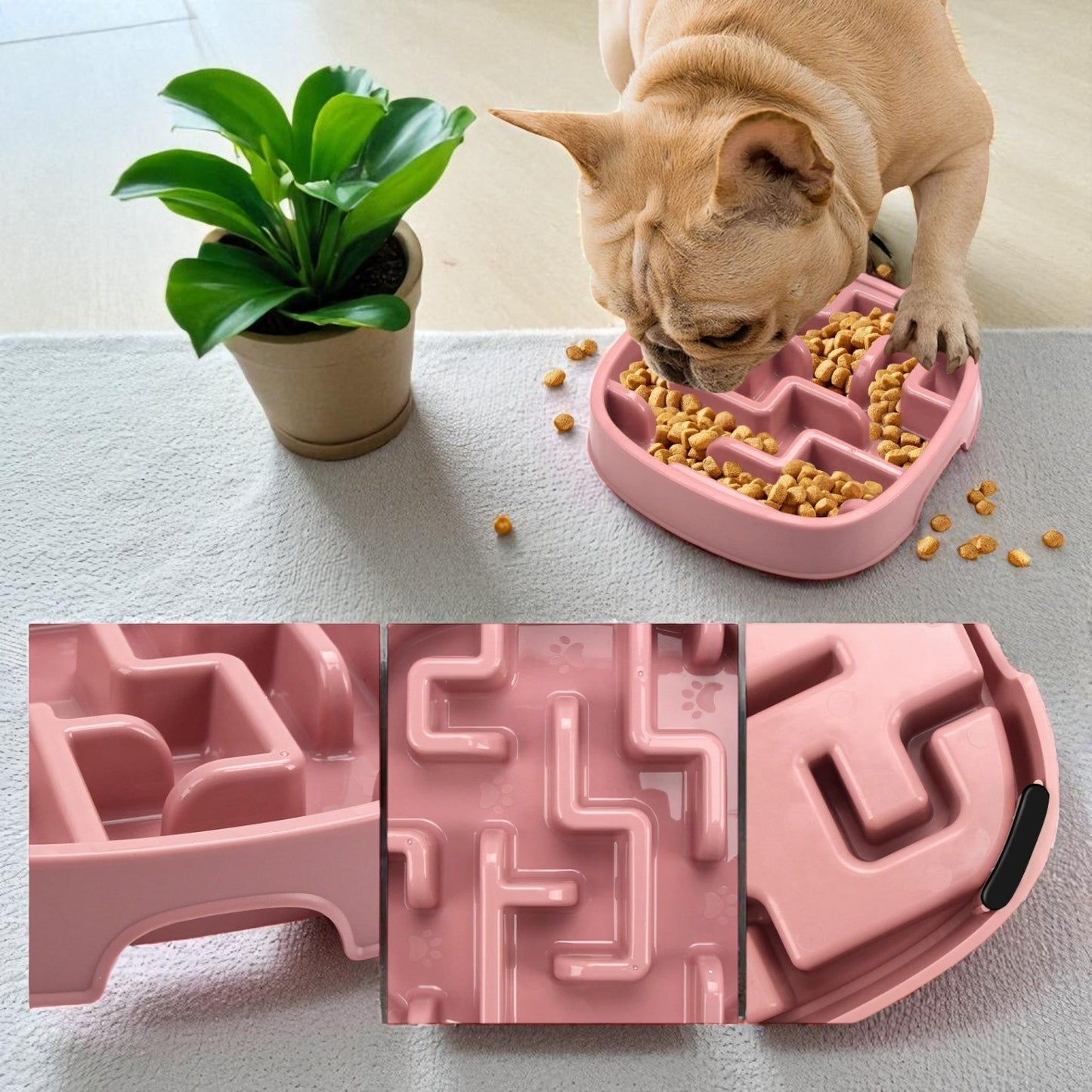gamelle anti glouton chien mange plante