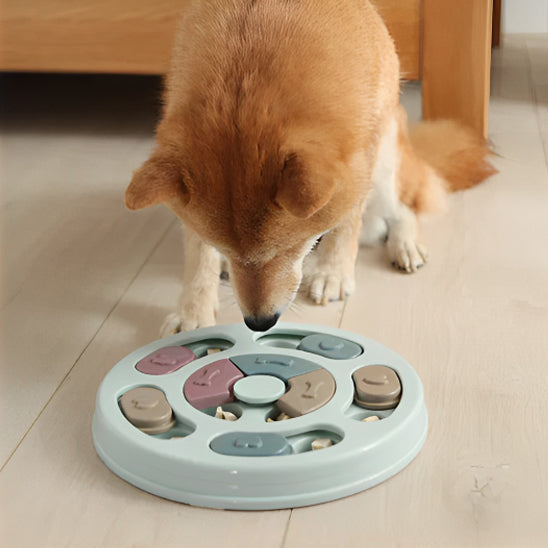 gamelle anti glouton chien observe1