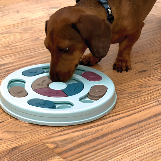 gamelle anti-glouton petit chien sniff