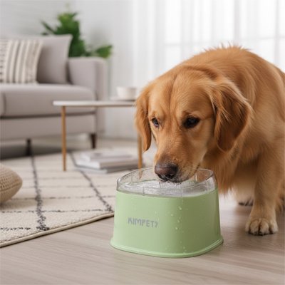 Gamelle chien anti débordement vert