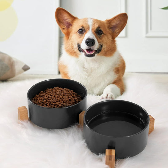gamelle chien-surelevee chien-duo-noir