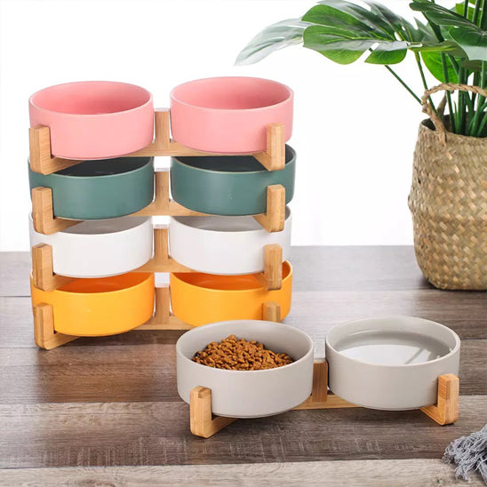 gamelle chien surelevee multi couleurs