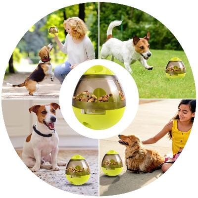 jouet pour chien jaune famille