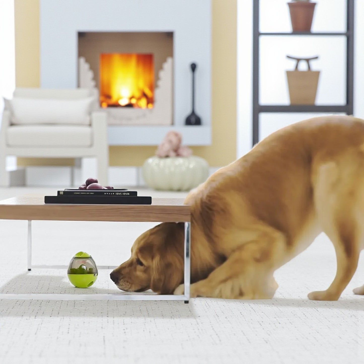 jouet pour chien-jaune chien sous table