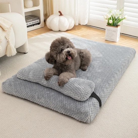 Lit pour chien confortable gris pâle