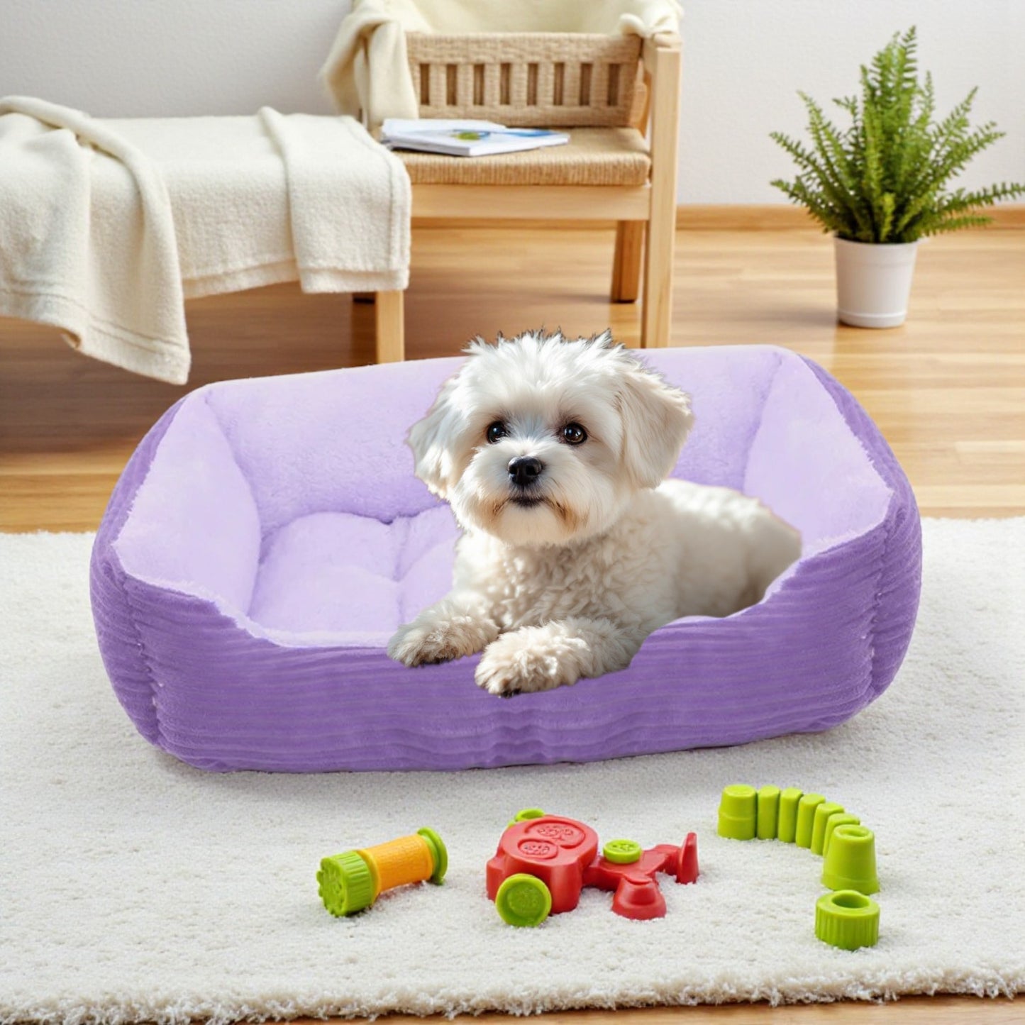 panier chien mauve chien