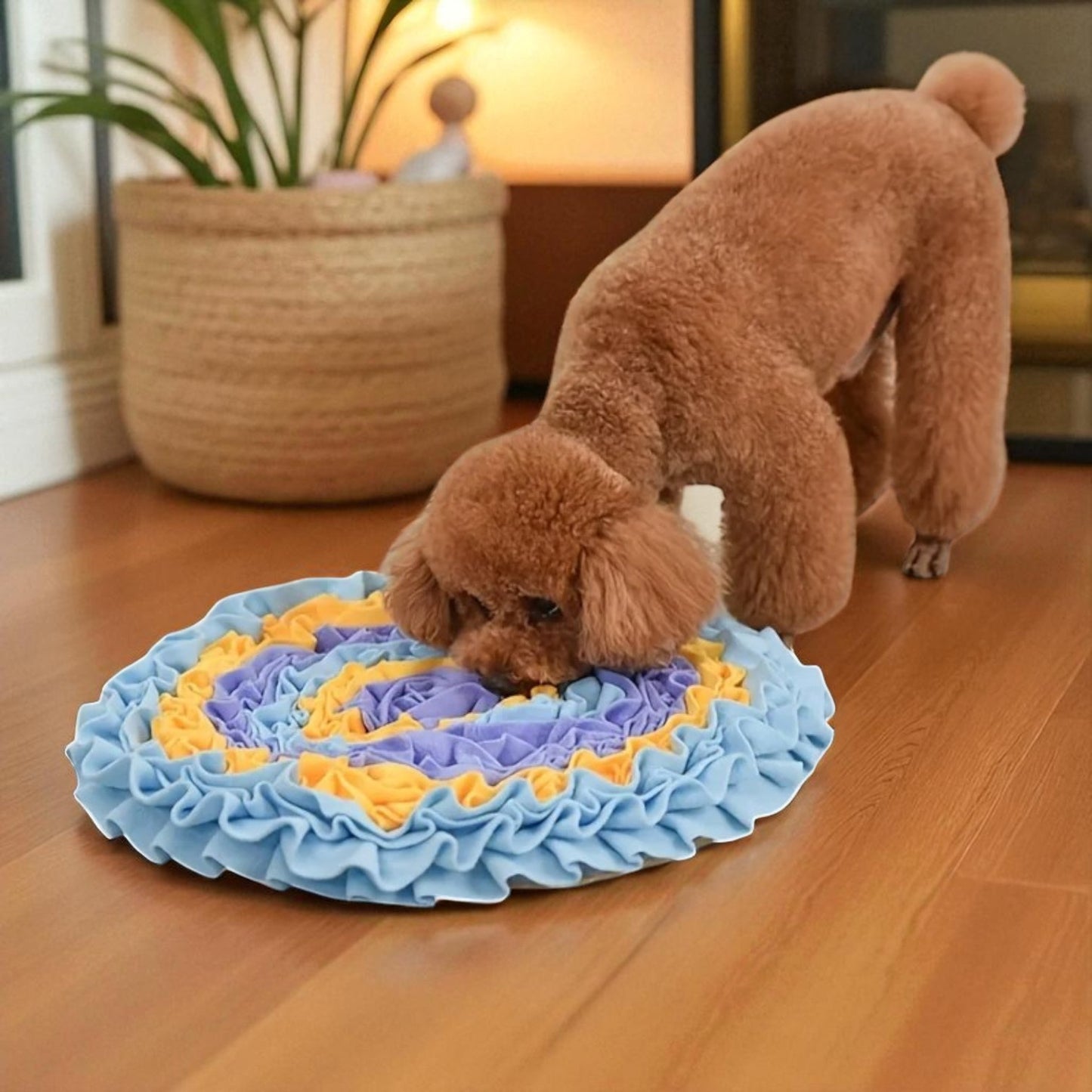 tapis de fouille chien bleu mauve chien sniff