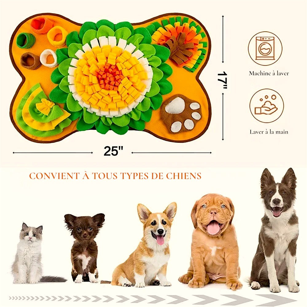 tapis de fouille modele 6443