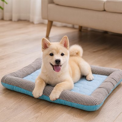 tapis rafraichissant chien bleu plancher