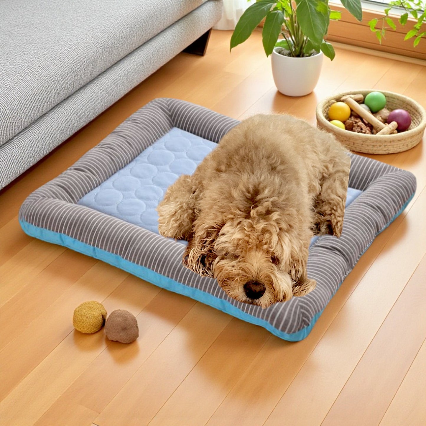 tapis rafraichissant chien dort