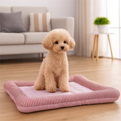 tapis rafraichissant chien rose plancher