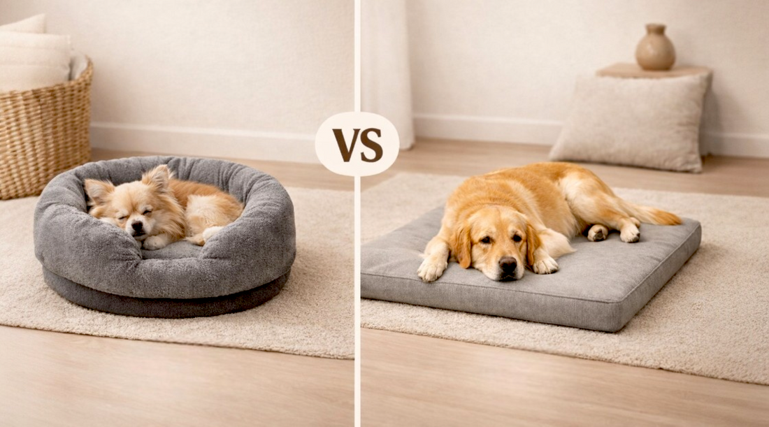 panier ou lit pour chien comparaison couchage chien rebords vs matelas
