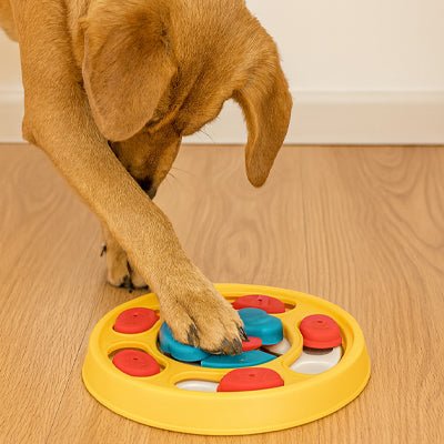 Gamelle anti glouton chien joue