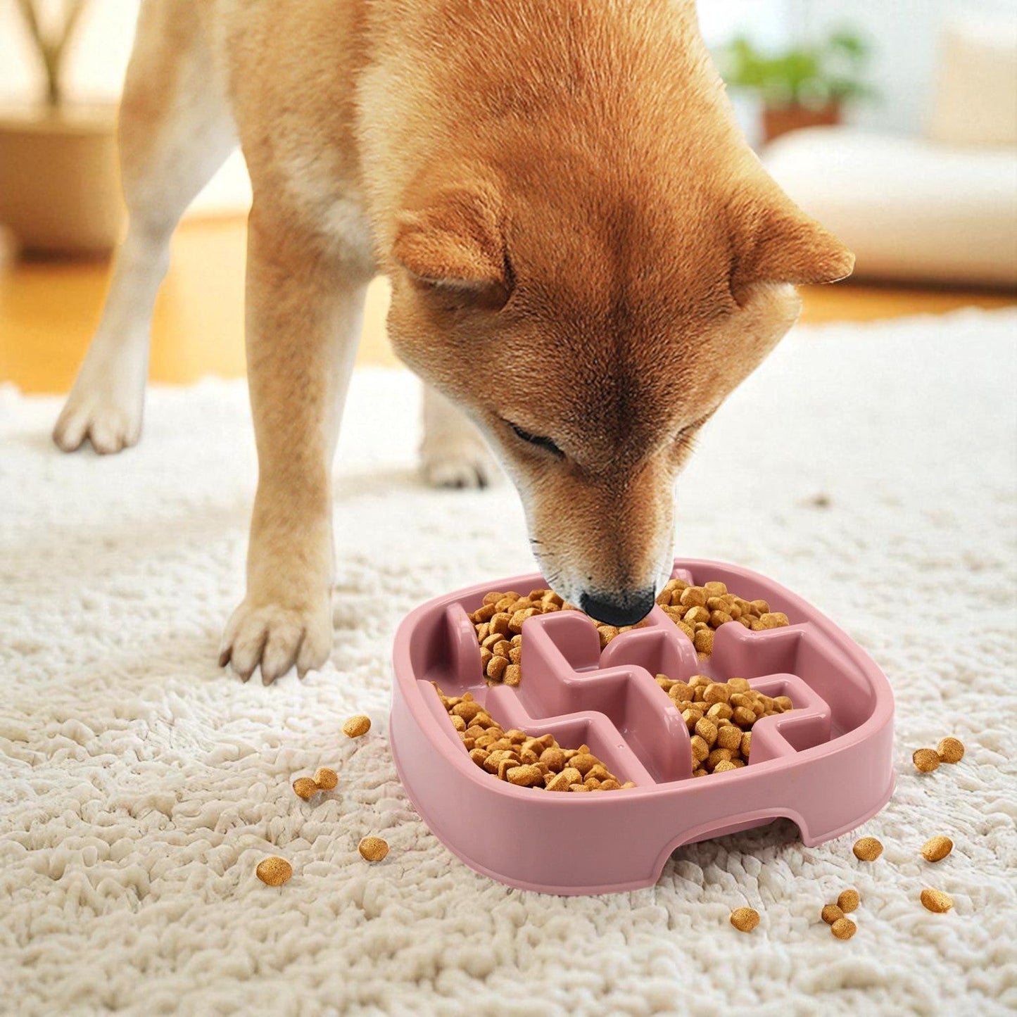 Gamelle Anti Glouton Mazea rose