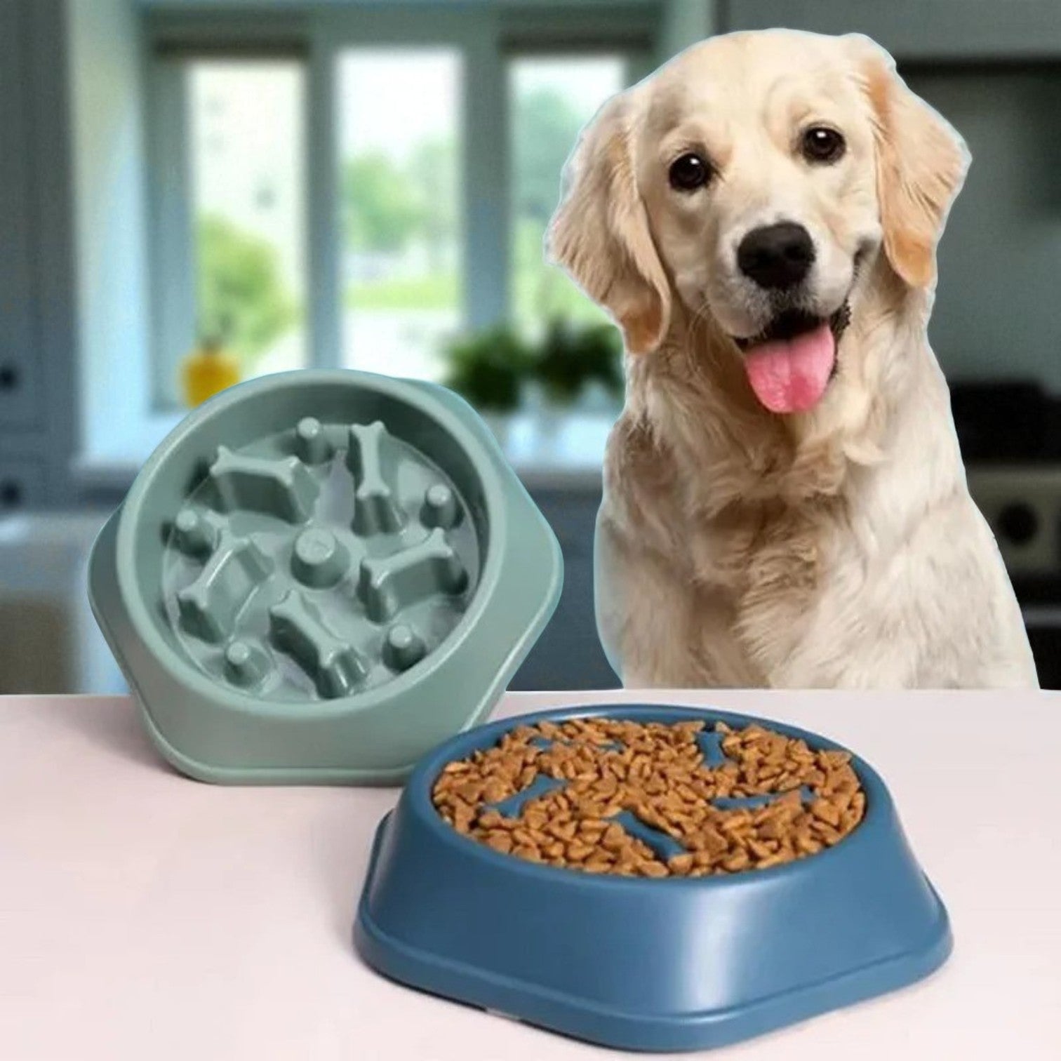 Gamelle Anti Glouton Puzzle deux couleurs