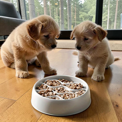 gamelle anti glouton avec relief  avec deux chiens