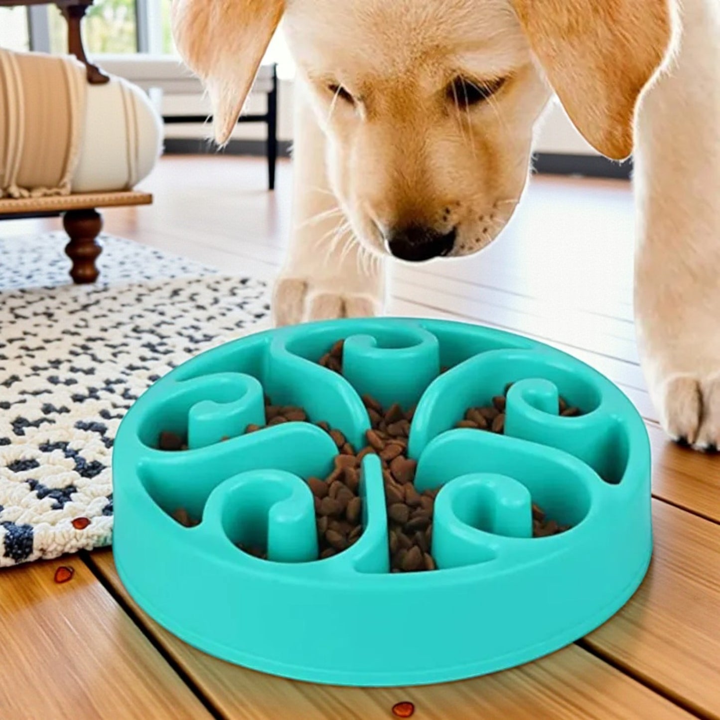 gamelle anti glouton turquoise