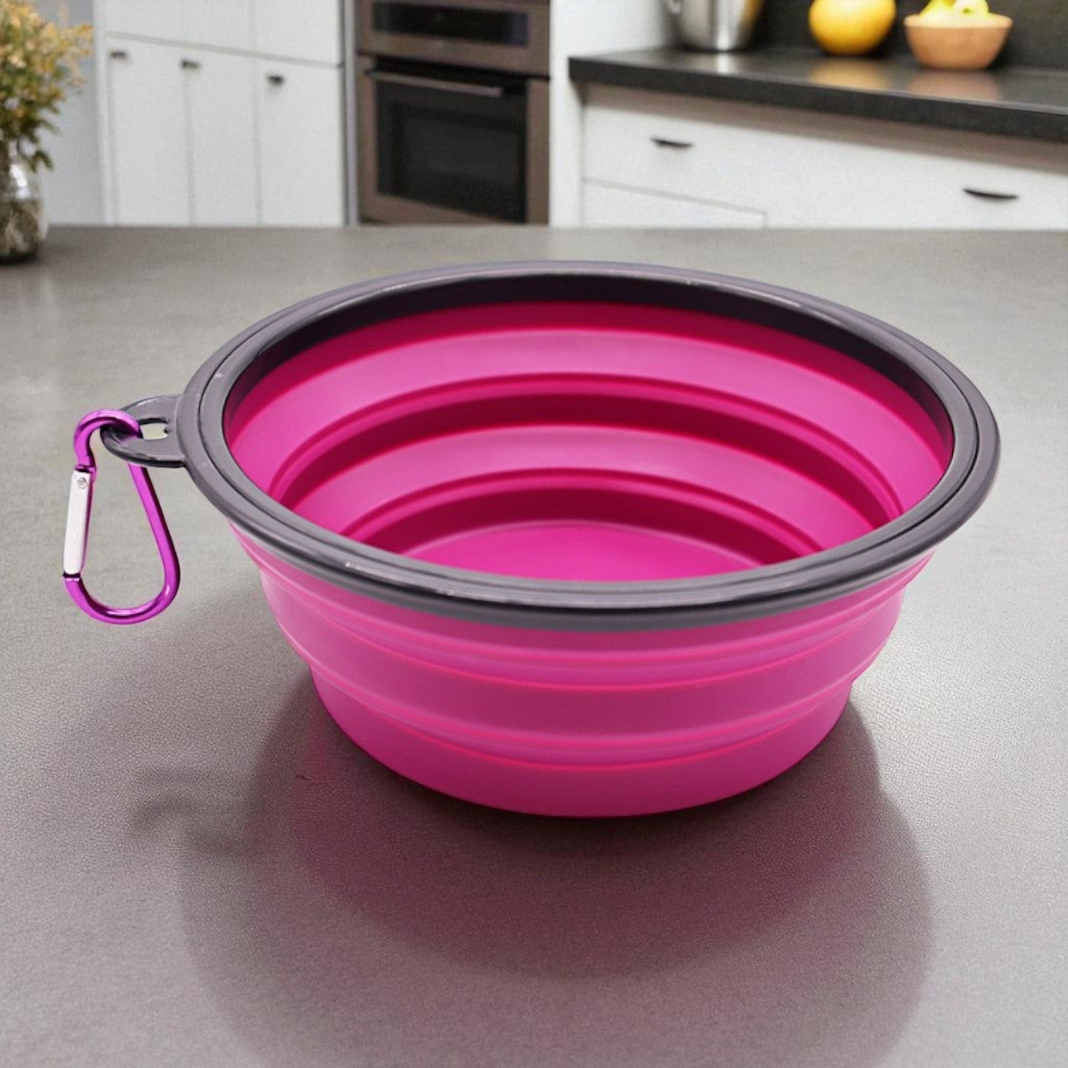Gamelle Chien flexiBowl rouge vin
