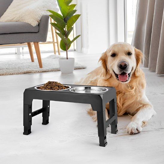 Gamelle chien surélevée | ZenBite™ - Univers Gourmand Canin