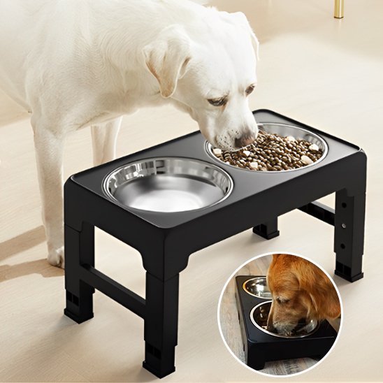 Gamelle chien surélevée | ZenBite™ - Univers Gourmand Canin