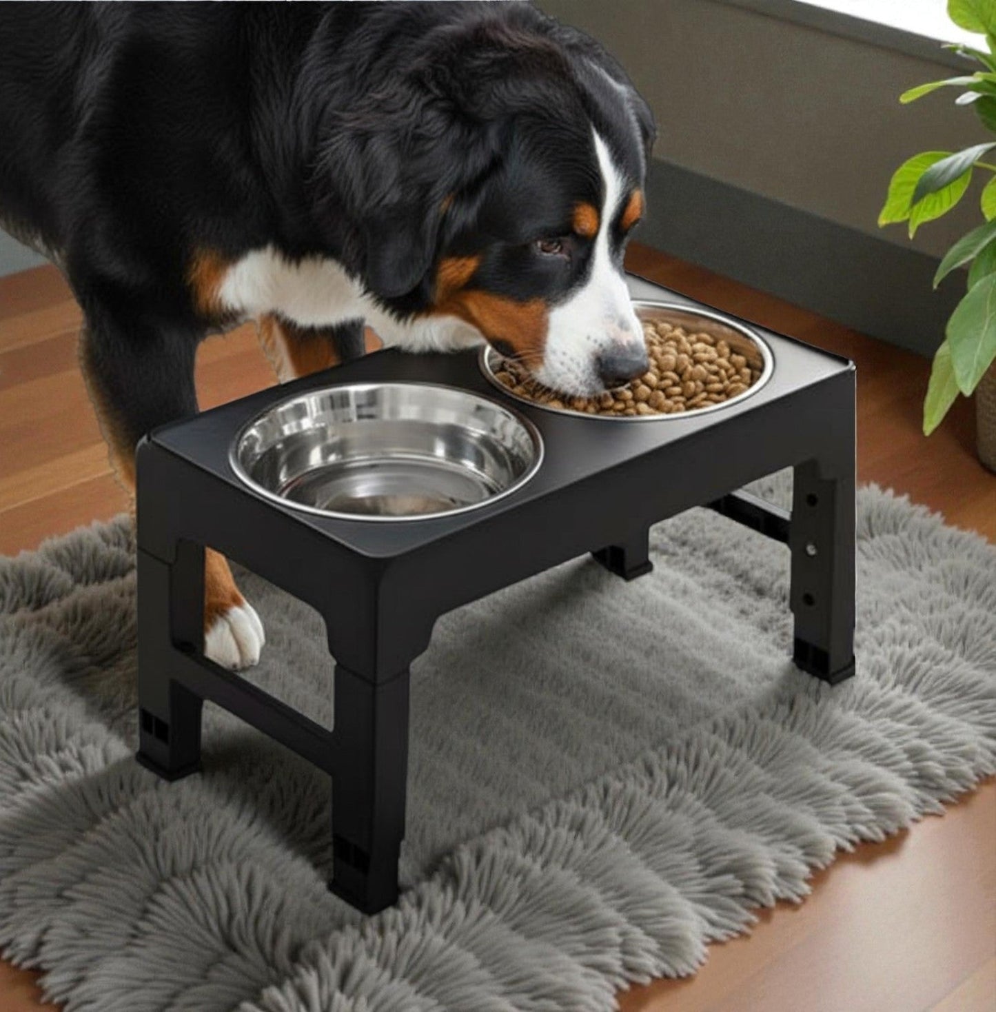 Gamelle chien surélevée | ZenBite™ - Univers Gourmand Canin