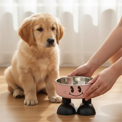 Gamelle chien surélevée rose