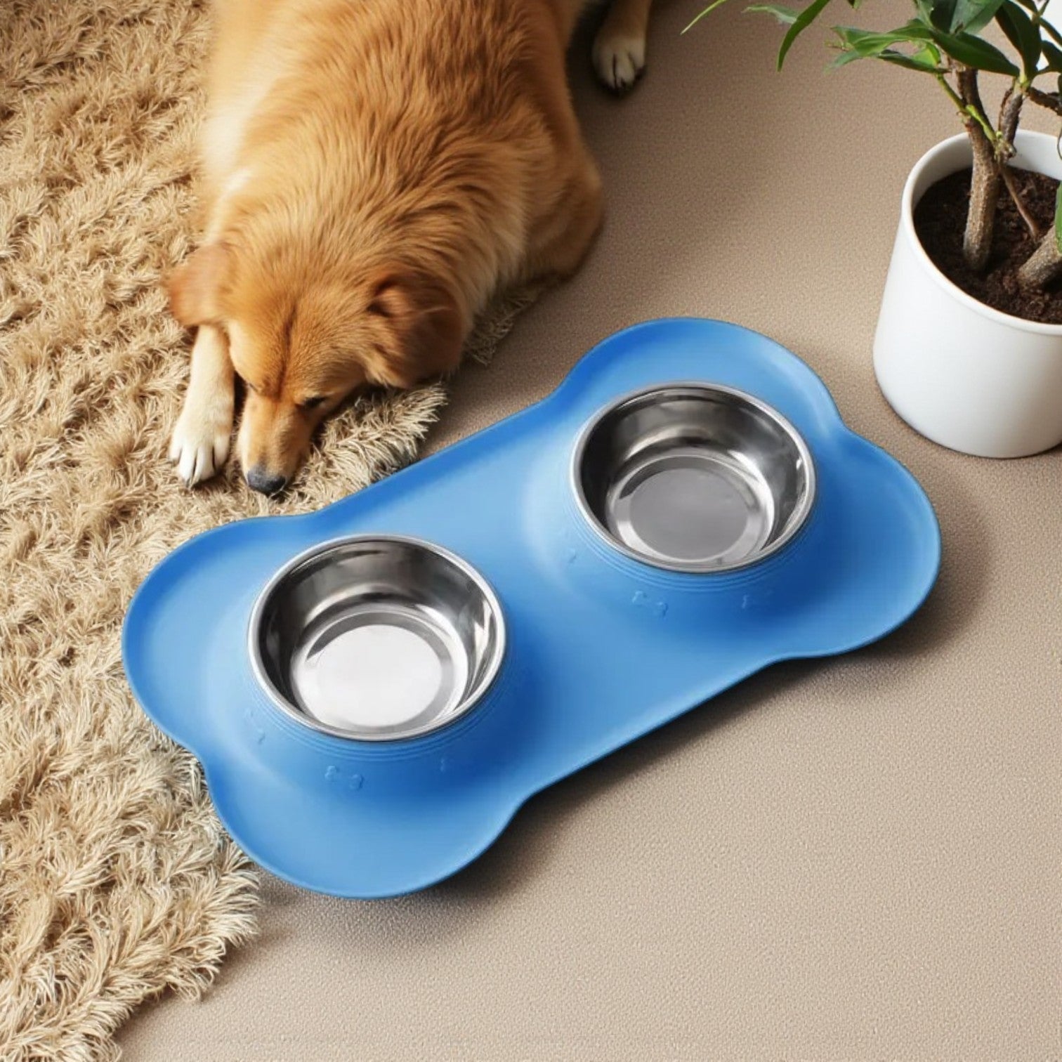 Gamelle Double Base antidérapante et bords surélevés 