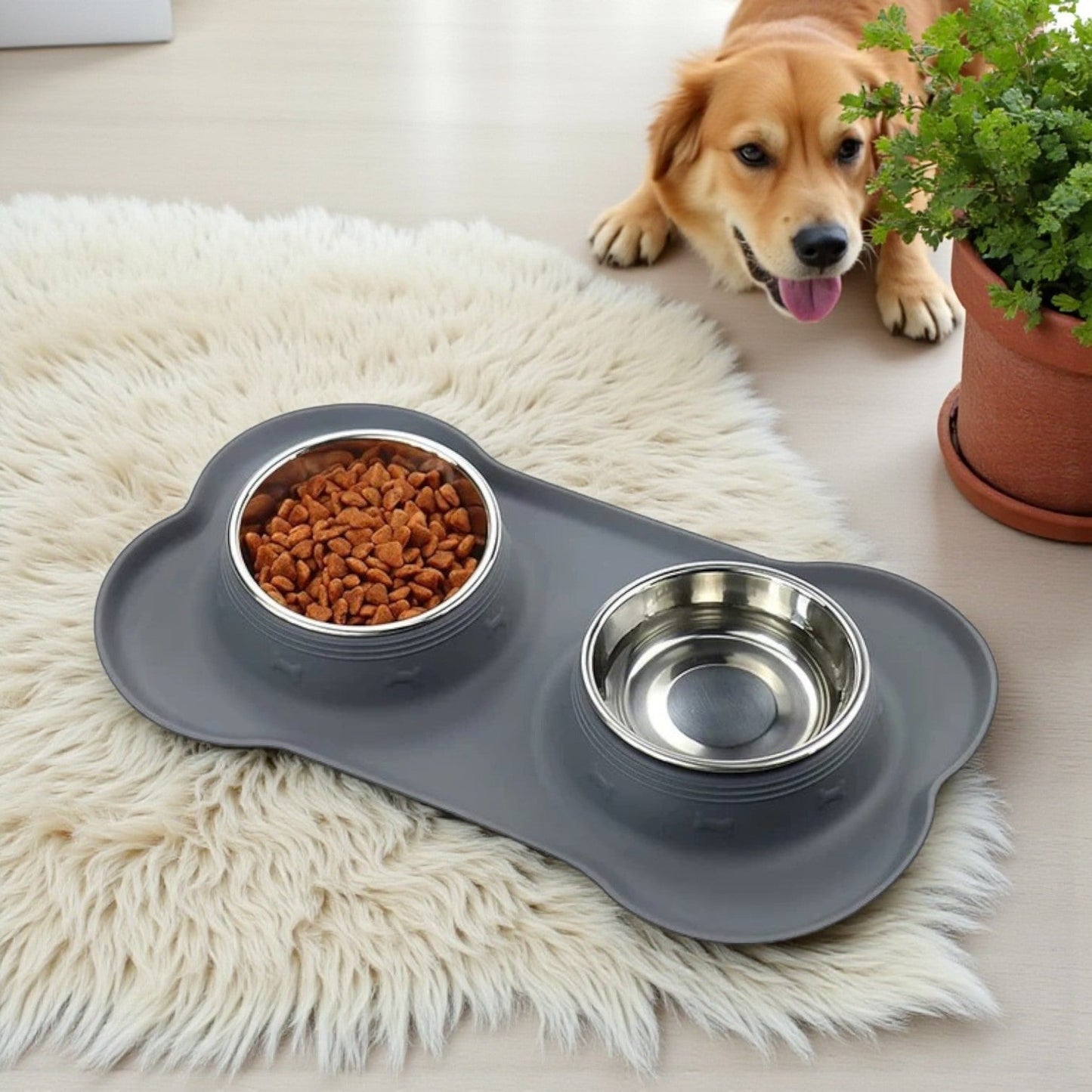 gamelle double Base antiderapante et bords sureleve