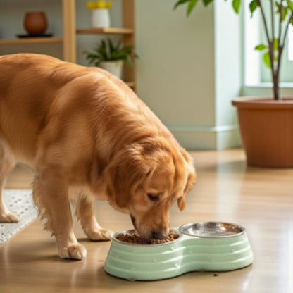 Gamelle Double Inoxydable  glden mange croquettes