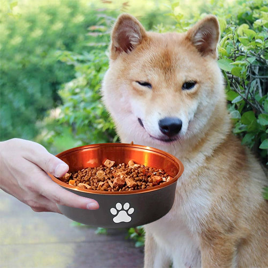 gamelle inox chien croquettes