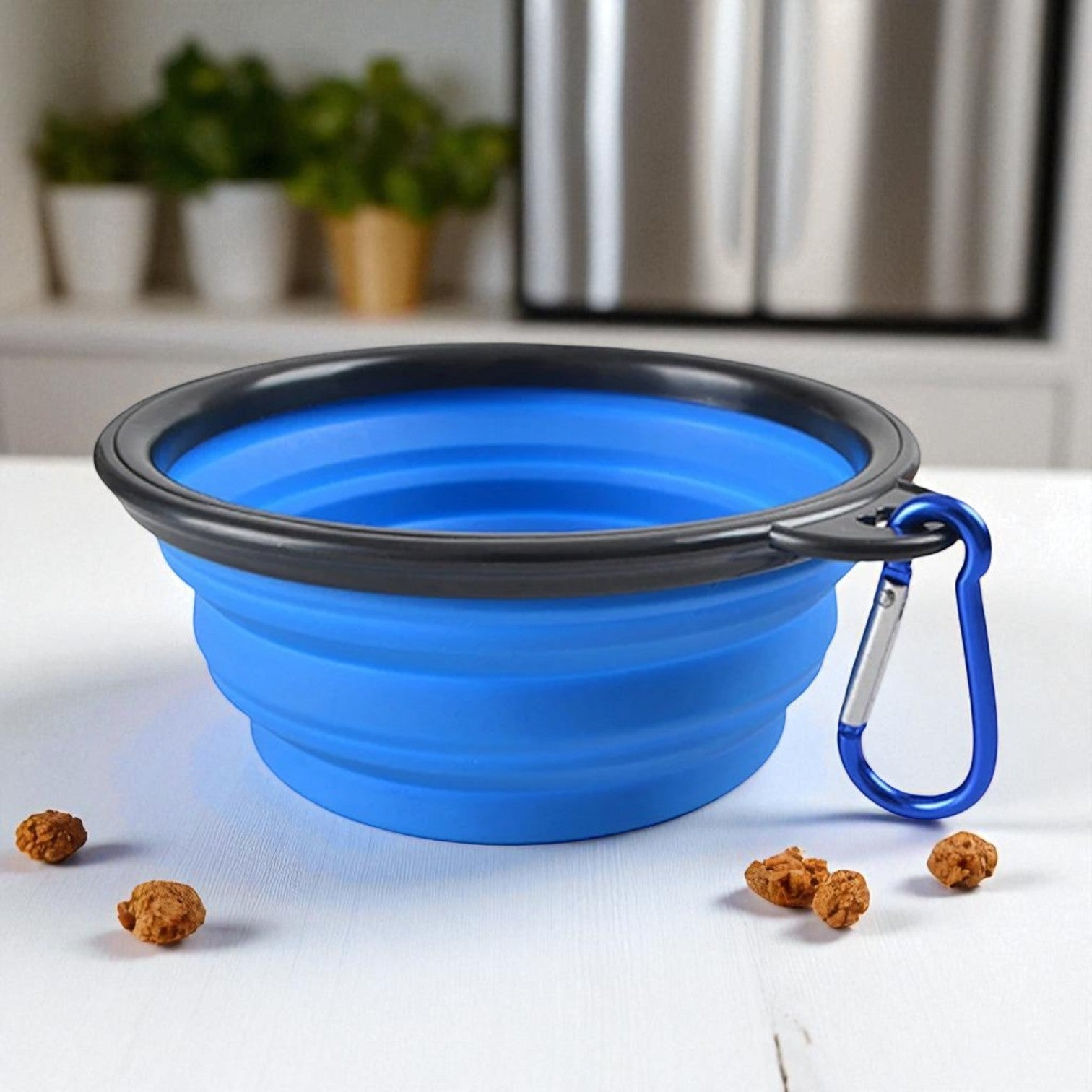 Gamelle pour Chien silicone bleu