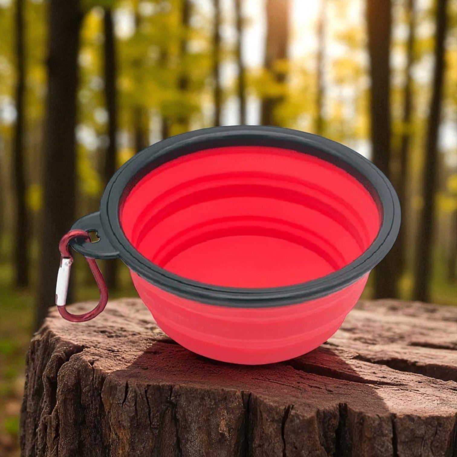 gamelle silicone rouge foret