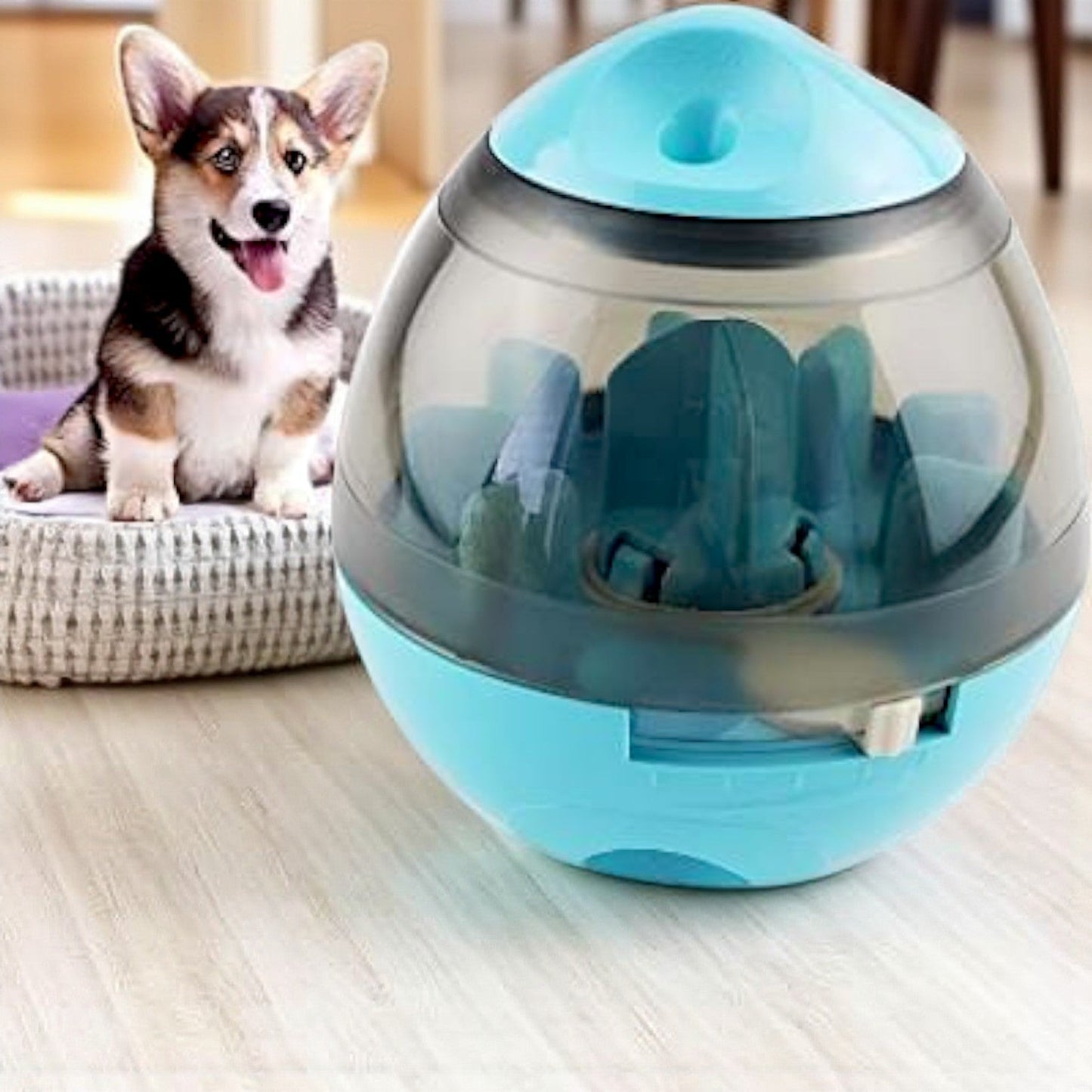 Jouet pour chien feedmaze bleu