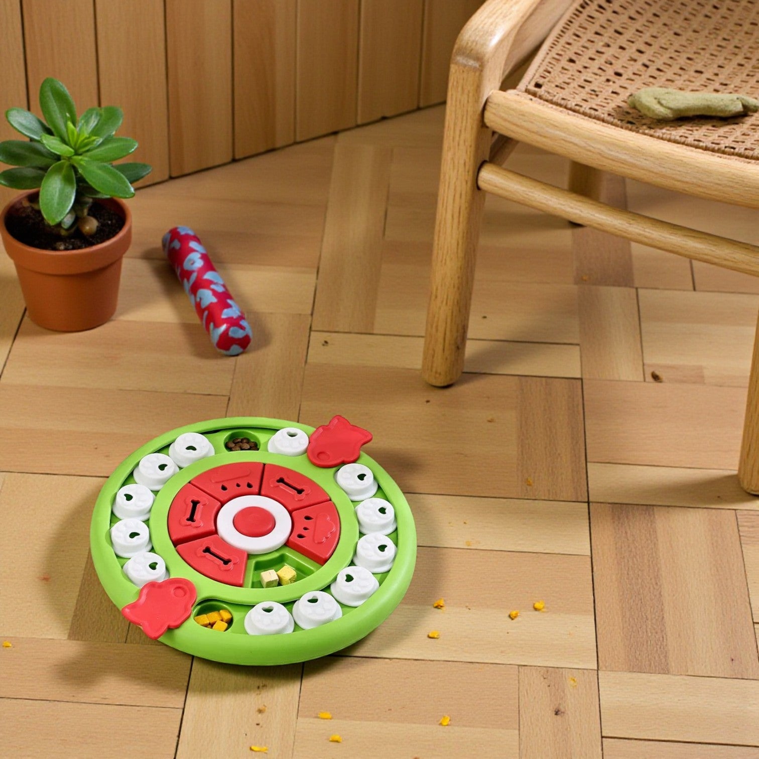 jouet pour chien interactif vert