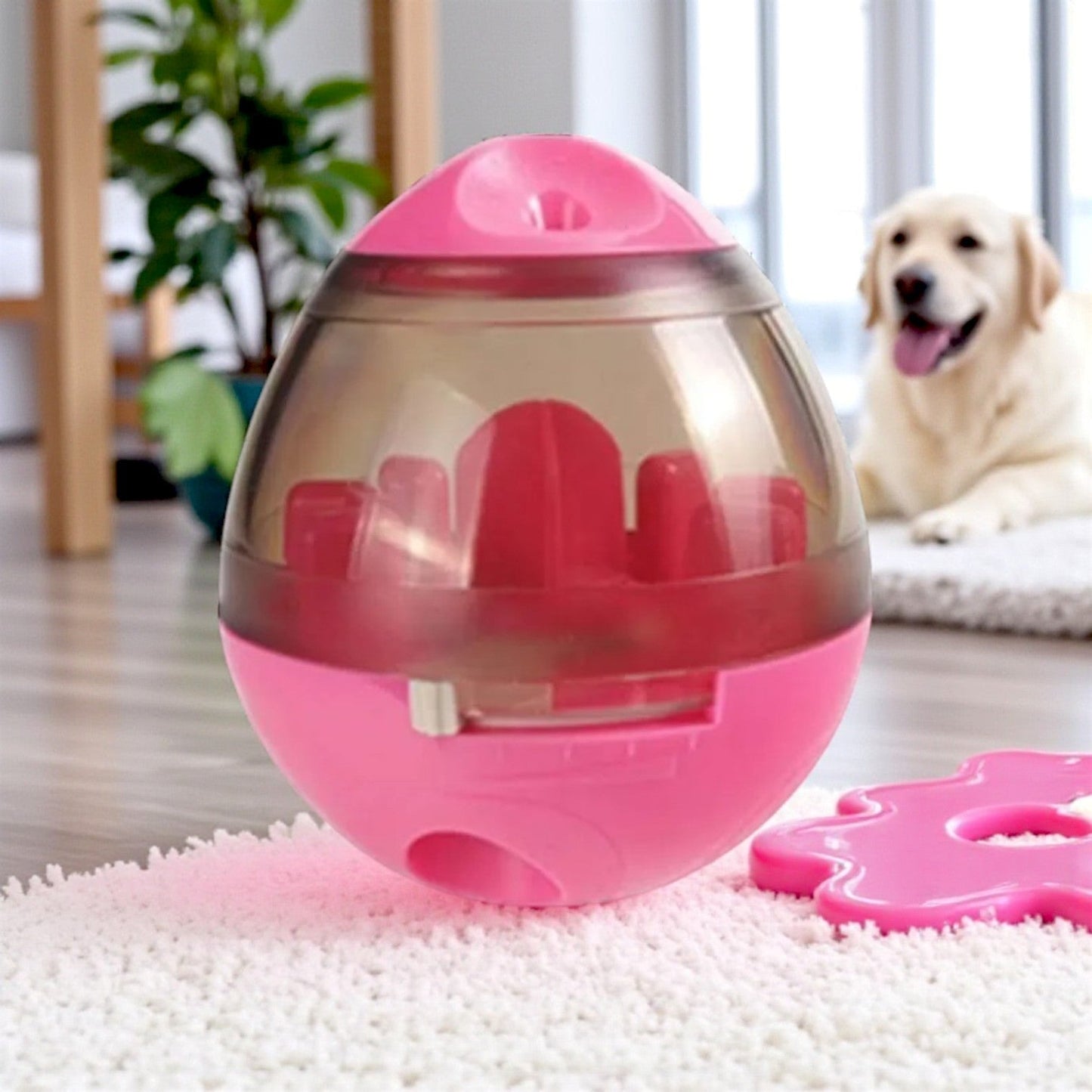 Jouet pour chien rose avec chien background