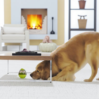 jouet pour chien-jaune chien sous table