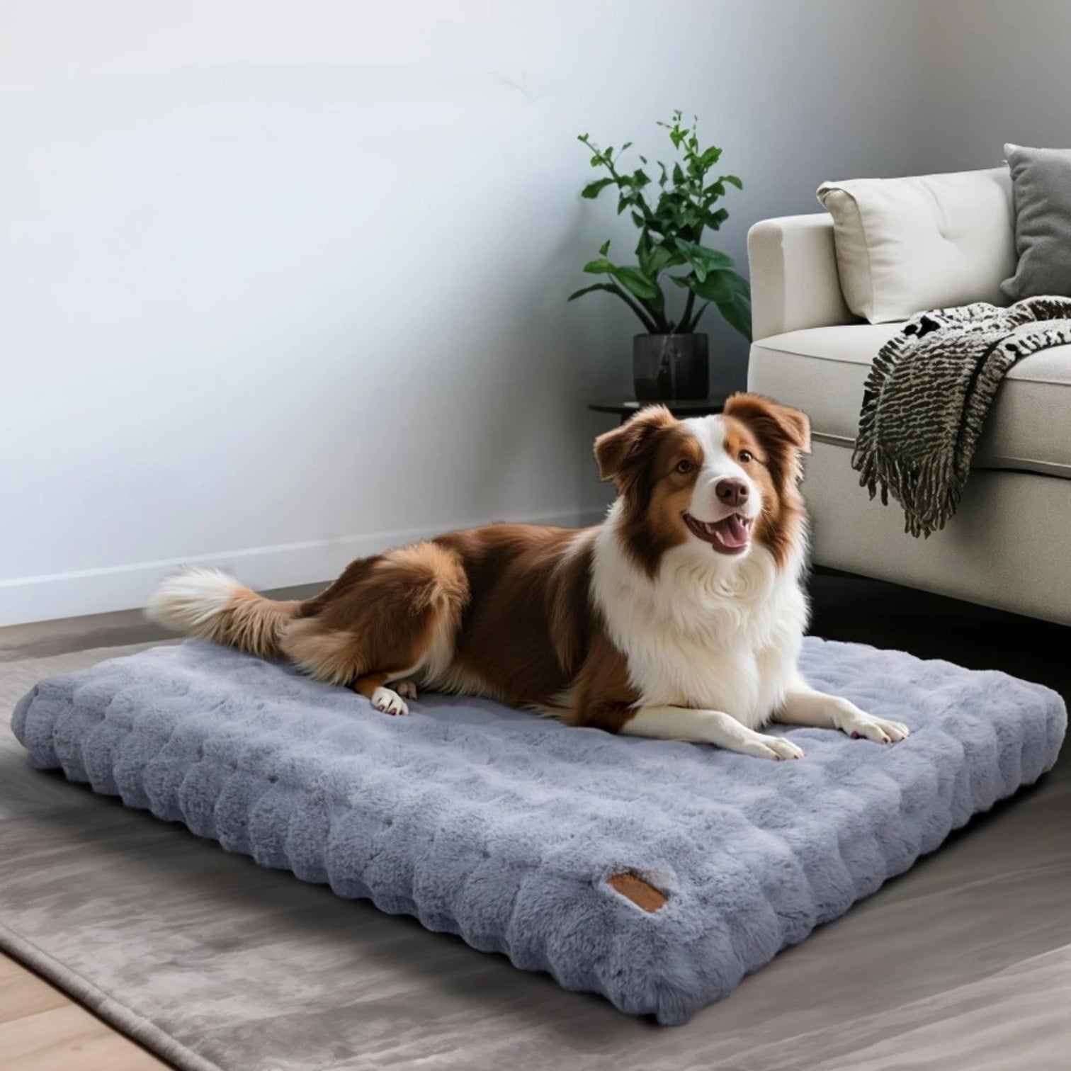 lit pour chien bleu ultra doux