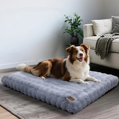 lit pour chien bleu ultra doux