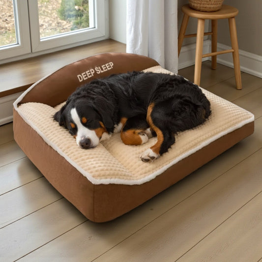 lit pour chien brun avec un bouvier