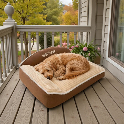 lit pour chien brun avec un goldendoodle