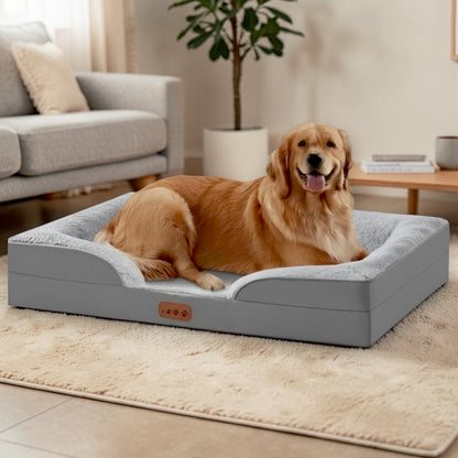 lit pour chien canapé avec golden retriever