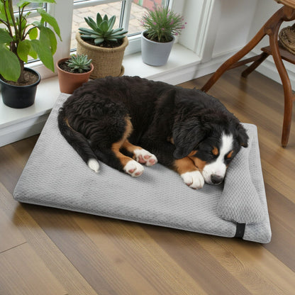 lit pour chien confortable avec un bouvier