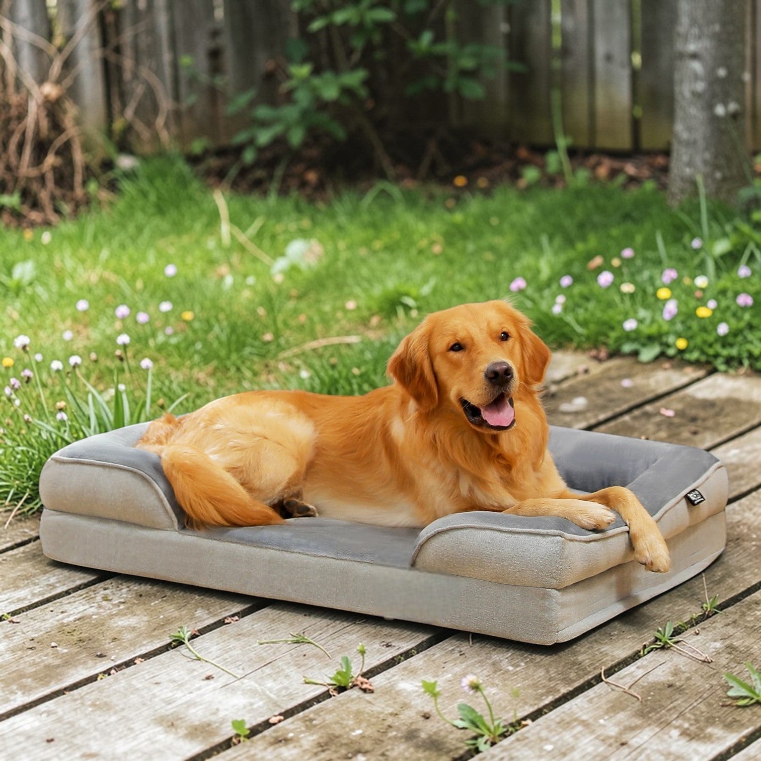 lit pour chien confortable foam dans jardin