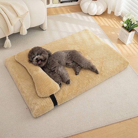 Lit pour chien confortable jaune