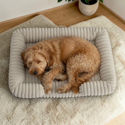 lit pour chien  corduroy blanc concasse