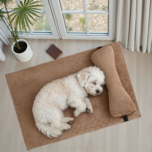 lit pour chien douillet brun avec un bichon