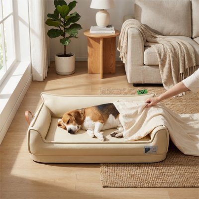  Lit pour chien élégance et fonctionnalité