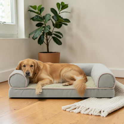 lit pour chien en forme rectangle vert