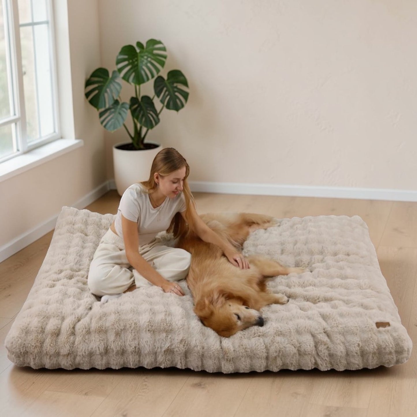 lit pour chien avec une fille et chien