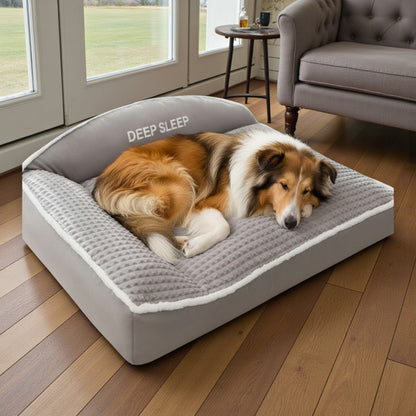 lit pour chien gris avec un collie